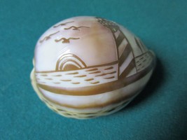 SEA Shell 2 X 3 Paperweight Engraved Light House - $478.09 MXN