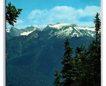 Mt Olympus Olympic National Park  Washington WA UNP Chrome Postcard P28 - $2.92