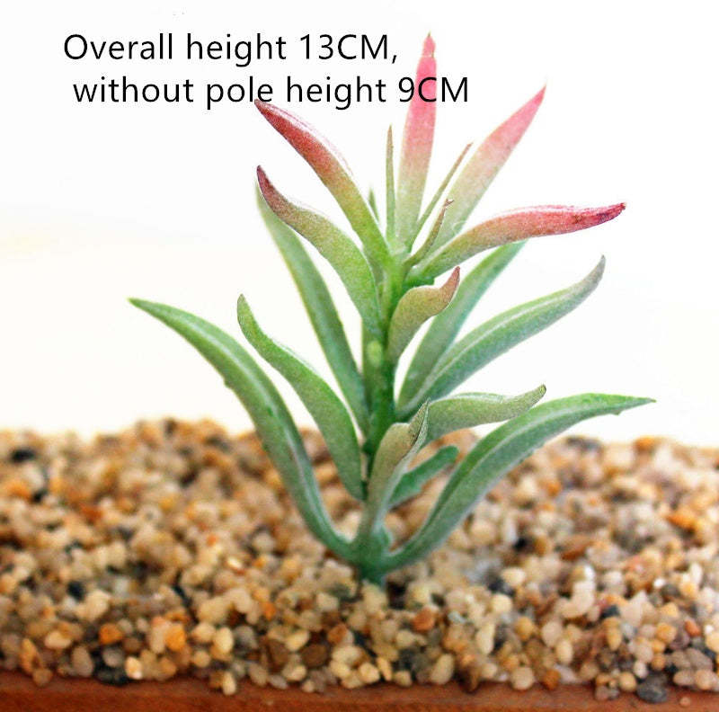 Simulated succulent plants - $1.71+