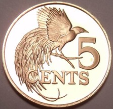Rare Proof Trinidad &amp; Tobago 1974 5 Cents~Bird Of Paradise~Only 14,000 Minted~FS - £4.88 GBP