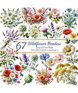 67 Watercolor Wildflower Clipart Bundle: Meadow Flowers (300 DPI PNG) - $4.00
