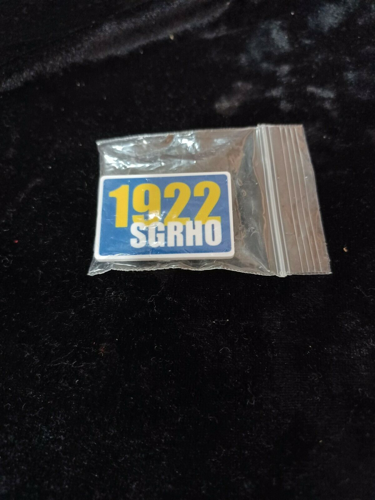 Sigma Gamma Rho Sorority Lapel Pin Crystal Stone Lapel Pin 1922 #5 - $9.80