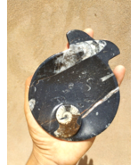 5inch Polished Orthoceras Fossil Bowl Devonian period N147 - €21,11 EUR