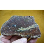 DF-368-6) 4 oz burgundy Fossil REAL DINOSAUR Bone Slice Jurassic dinos f... - $647.64 MXN