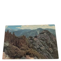 Postcard El Morro Rock Union Oil Company Sequoia National Park Chrome Unposted - £5.41 GBP