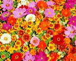 2000 Seeds Tall Native Wildflower Mix Seeds 19 Flowering Annuals Cut Flo... - $8.99