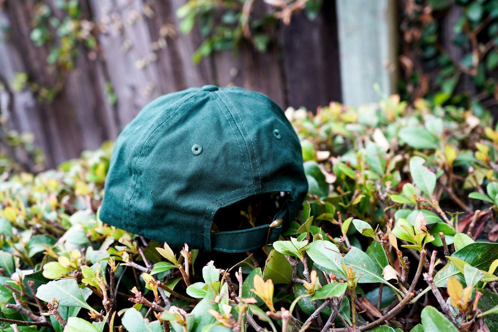 Item image 5