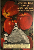STARK BROS (MO) vintage 1923 large 76-pg catalog trees fruits vegetables... - $49.49