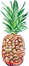 Pineapple Fruit Almost Alive Vinyl Decal Sticker - Auto Car Truck Home Cell Cup - £5.55 GBP+