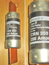 GOULD 250 AMP 250 VOLT TYPE D TIME DELAY BLADE FUSE (CRN 250) ~ RARE/NEW! - $149.99