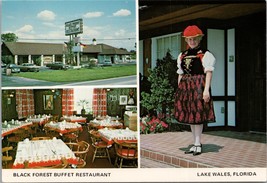 Black Forest Buffet Restaurant Lake Wales FL Postcard PC544 - £6.38 GBP