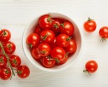 100 Cherry Tomato Seeds Heirloom Fast Shipping - $8.99