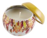 Via Mercato Autunno Home Frangrance Collection, Candle, 3.5 oz, Harvest ... - $9.75