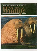 THE ILLUSTRATED ENCYCLOPEDIA OF WILDLIFE VOLUME 3 MAMMALS - £3.11 GBP