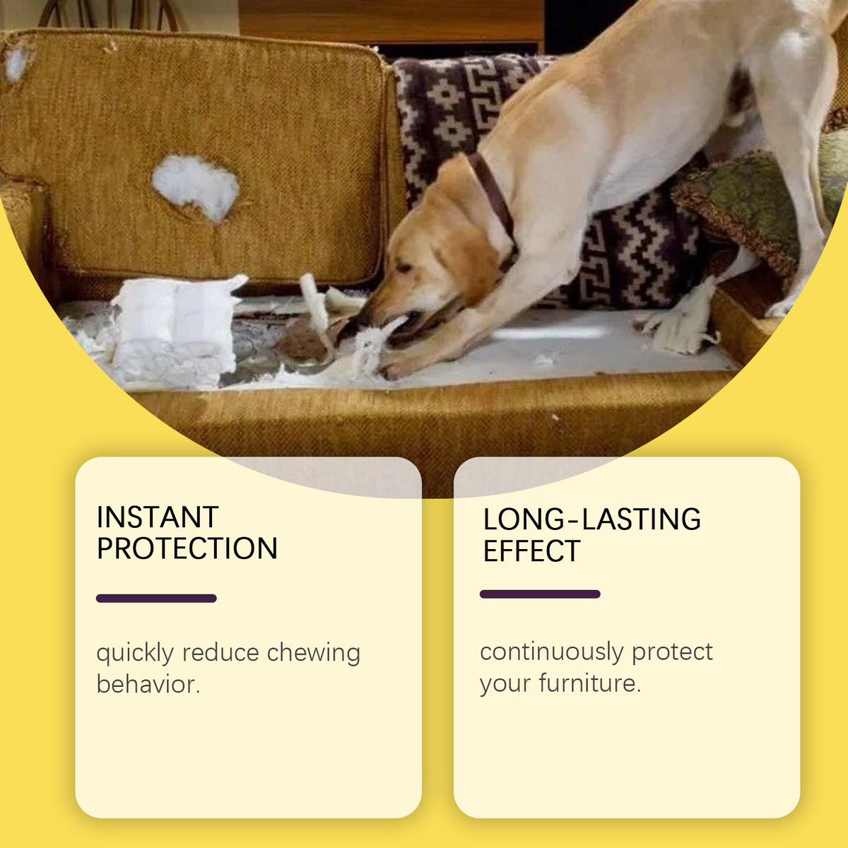 1/2Box x100ml NO chew bitter spray, Prevent pets dog cat from chewing furniture Item image 3