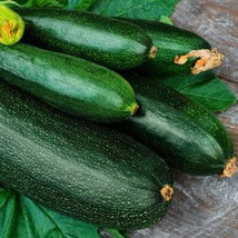 15 Seeds, Squash - Dark Green, Open Pollinated, Non-Gmo, Heirloom, Easy To Grow  - £10.27 GBP