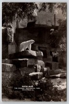 Brookfield IL RPPC Polar Bear The Chicago Zoological Park Photo Postcard V28 - £7.77 GBP