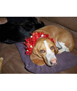 Festive special occasion collar for dogs or cats - £3.93 GBP