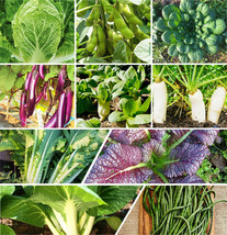 10 Asian Vegetable Seeds Mix Combination Pack Variety Bundle Planting  - £23.54 GBP