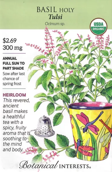 Basil Holy Tulsi Organic Herb Seeds Non-Gmo - Botanical Interests 12/23 Fresh Ga - £4.70 GBP