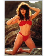 Sexy Woman girl Postcard Risque 90&#39;s 80&#39;s Pinup Bikini Hot Bodz 1988 - $14.65