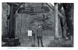 Forest Ranger. Park services. Muir Woods National Monument Calif. RPPC Postcard - £8.66 GBP