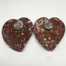 2pcs,6.25&quot;x5.2&quot; Ammonite Fossils Heart Plates Dishes Red Marble @Morocco,MF1360 - £15.58 GBP