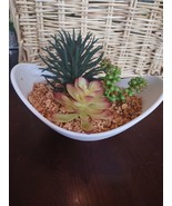 Succulent Plant Dish - $35.07 CAD