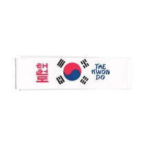 Tiger Claw Korean Flag Taekwondo Headband - $1.38