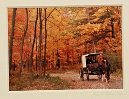 Bill Coleman Photograph Amish Horse Buggy Mother &amp; Child Signed Matted 10&quot; X 8&quot; - £25.53 GBP