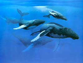Giclee Canvas Print painting  art Picture A group of whale on canvas - £8.91 GBP+