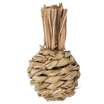 Natural Woven Sisal Apple Toss Toy for Small Pets - £2.33 GBP+