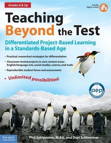 TEACHING BEYOND THE TEST: DIFFERENTIATED PROJECT-BASED By Schlemmer Phil... - $6.99