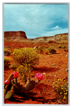 Prickly Pear Cactus in Bloom Desert Landscape Postcard Unposted - $4.89