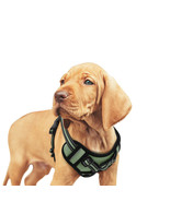 GOOPAWS Padded Reflective Dog Harness, Easy Control Lightweight Dog Harn... - $35.24 CAD