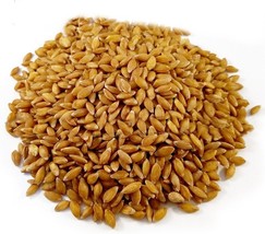 Einkorn wheat whole grains, Triticum monococcum - £4.38 GBP+