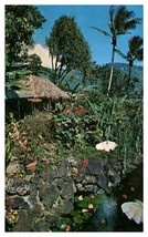 Waioli Tea Room Honolulu Hawaii Salvation Army Owned Kii Postcard - £5.84 GBP