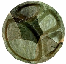 100% Eco friendly Disposable Palash Leaf Plates -25pcs - $27.63