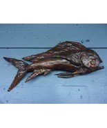Handcrafted Hammed Bull Dolphin Copper Fish with glass eye Wall Decor - €234,79 EUR