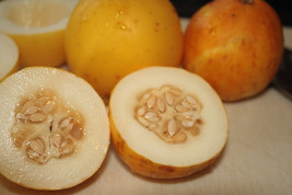 11 Seeds Vine Peach Mango Melon Annual Vine New Fast Shipping - $4.20
