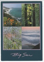 Postcard Big Sur California Poppies Redwoods Wildflowers Fog Over Coast 1997 - £4.68 GBP