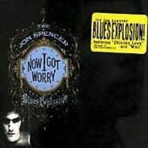 The Jon Spencer Blues Explosion : Now I Got Worry CD (1996) Pre-Owned - £11.95 GBP