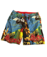 No Boundaries Mens FUN MULTICOLOR BOARD Swim Trunks SIZE 36 POCKETS - €24,07 EUR