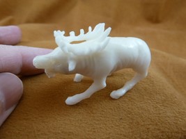 tb-elk-8 little white buck Elk Tagua NUT palm figurine Bali carving Moos... - £42.75 GBP