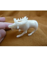 tb-elk-8 little white buck Elk Tagua NUT palm figurine Bali carving Moos... - £43.34 GBP