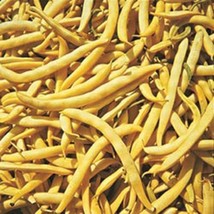 THJAR Cherokee Yellow Wax Bush Bean, 1 oz Pack (60-75 Seeds), NON-GMO, Yellow Wa - $4.99