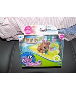 Littlest Pet Shop Pets on the Go Kitten #2123 NEW - $44.10