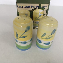 Handpainted ceramic salt and pepper set floral flower pattern still in box - $19.75