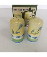 Handpainted ceramic salt and pepper set floral flower pattern still in box - $19.75