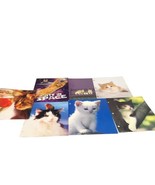 7 Vtg 2000s 2 Pocket Folder Cats &amp; Kittens Mead Reinen Gibson Oxford Ino... - $39.59